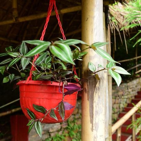 Mid Pine Home Stay Shillong Exterior photo