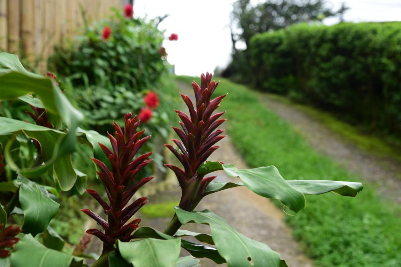 Mid Pine Home Stay Shillong Exterior photo
