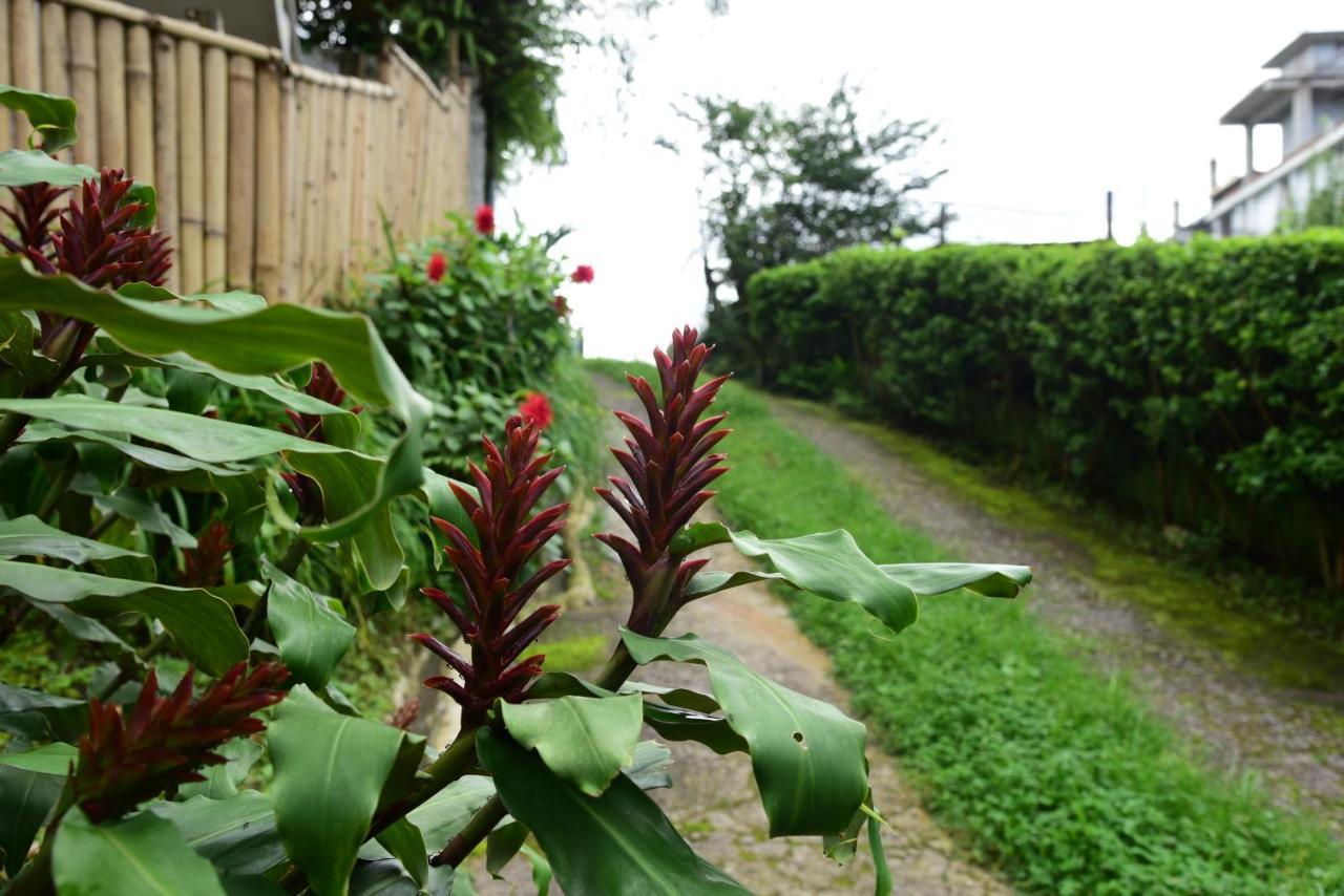 Mid Pine Home Stay Shillong Exterior photo