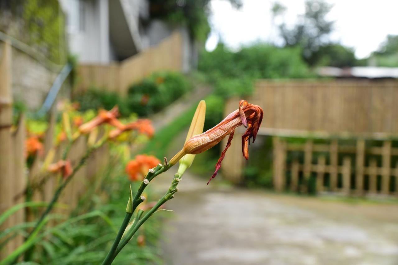 Mid Pine Home Stay Shillong Exterior photo